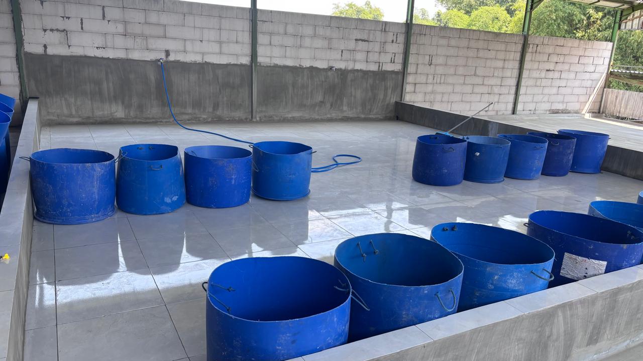 Tempat Kami